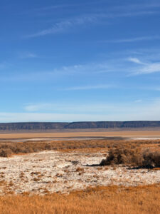 Alvord Desert