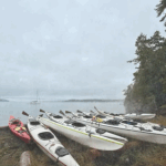 Kayaks